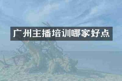 广州主播培训哪家好点