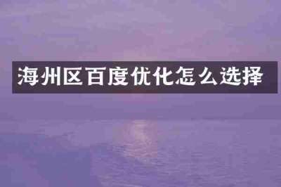 海州区百度优化怎么选择