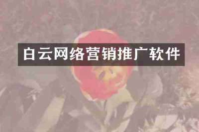 白云网络营销推广软件
