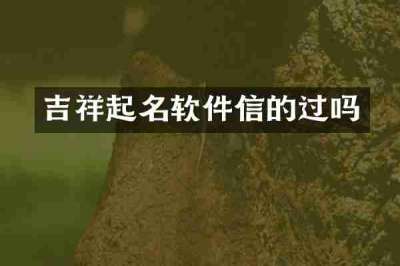 吉祥起名软件信的过吗