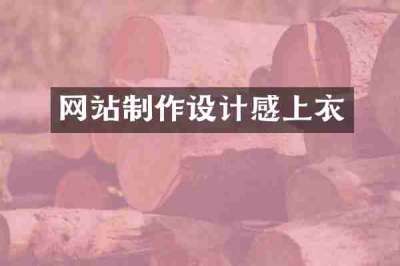 网站制作设计感上衣