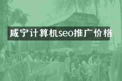 咸宁计算机seo推广价格