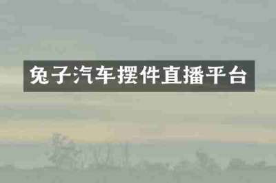 兔子汽车摆件直播平台