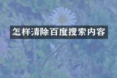 怎样清除百度搜索内容
