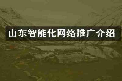 山东智能化网络推广介绍