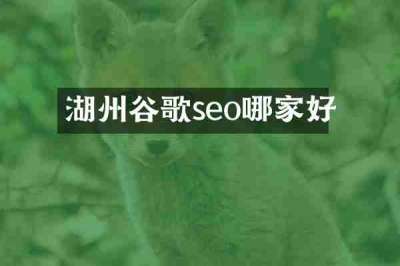 湖州谷歌seo哪家好