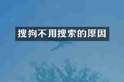 搜狗不用搜索的原因