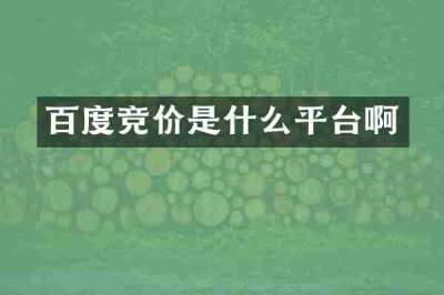 百度竞价是什么平台啊