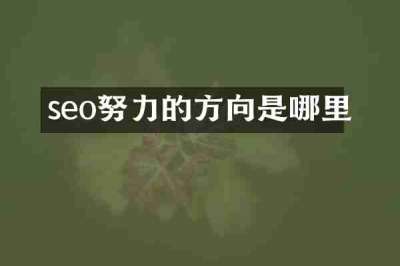 seo努力的方向是哪里