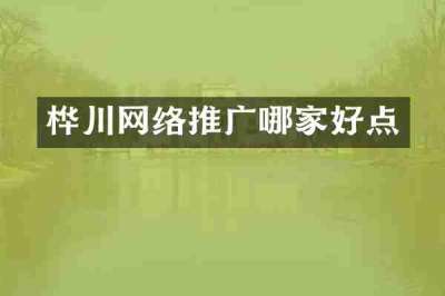 桦川网络推广哪家好点