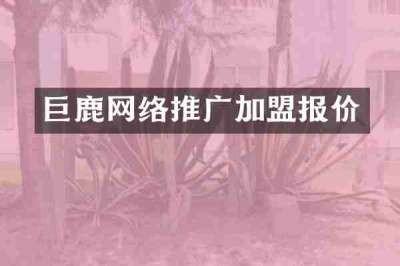 巨鹿网络推广加盟报价