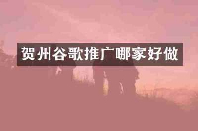 贺州谷歌推广哪家好做