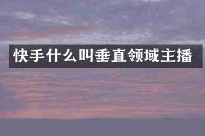 快手什么叫垂直领域主播