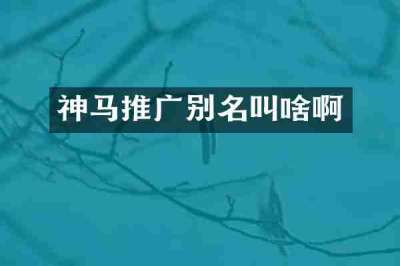 神马推广别名叫啥啊