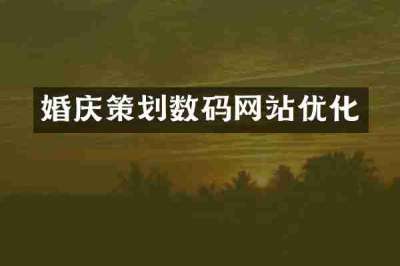 婚庆策划数码网站优化