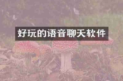 好玩的语音聊天软件