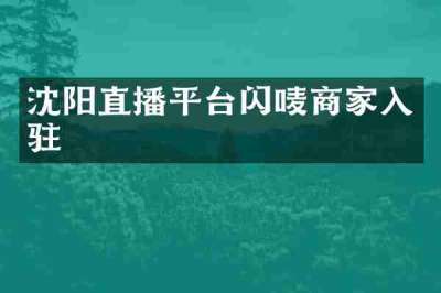 沈阳直播平台闪唛商家入驻