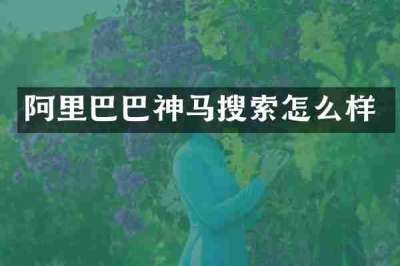 阿里巴巴神马搜索怎么样