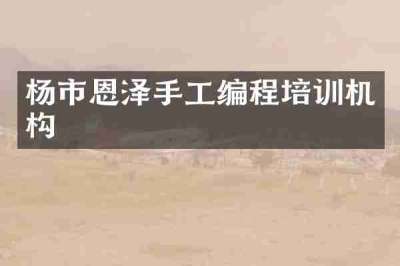杨市恩泽手工编程培训机构