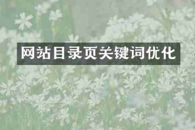 网站目录页关键词优化