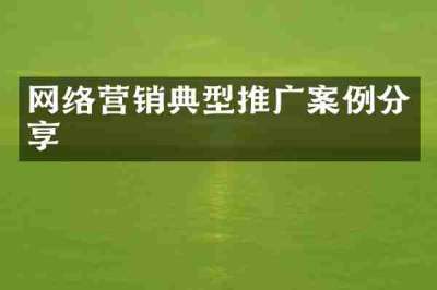 网络营销典型推广案例分享