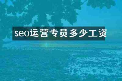 seo运营专员多少工资