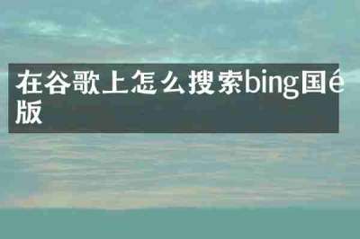 在谷歌上怎么搜索bing国际版