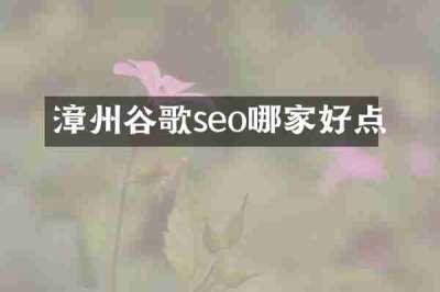 漳州谷歌seo哪家好点