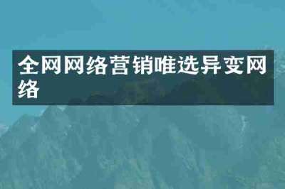 全网网络营销唯选异变网络