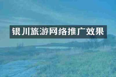 银川旅游网络推广效果