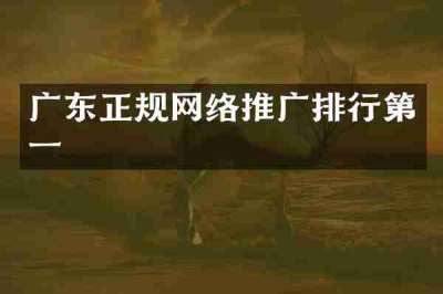 广东正规网络推广排行第一