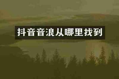 抖音音浪从哪里找到