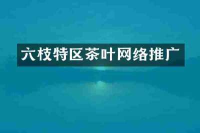 六枝特区茶叶网络推广