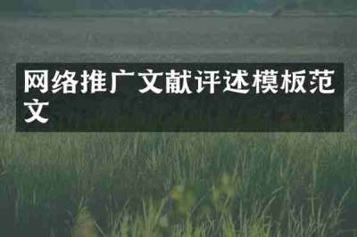 网络推广文献评述模板范文