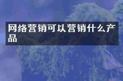 网络营销可以营销什么产品