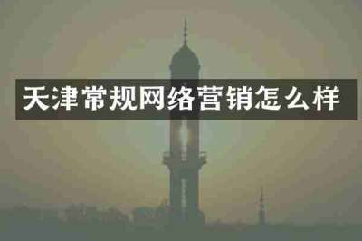 天津常规网络营销怎么样
