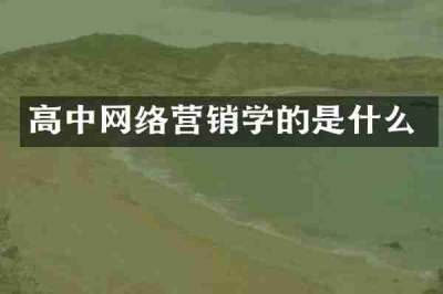 高中网络营销学的是什么
