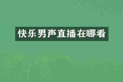 快乐男声直播在哪看