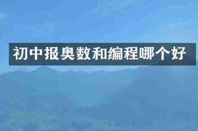 初中报奥数和编程哪个好