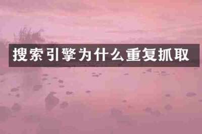 搜索引擎为什么重复抓取