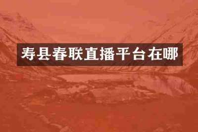 寿县春联直播平台在哪