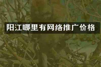 阳江哪里有网络推广价格