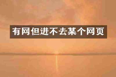 有网但进不去某个网页