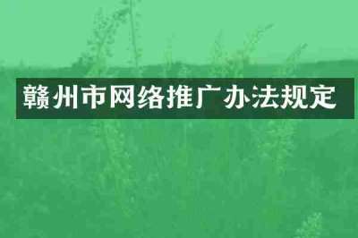 赣州市网络推广办法规定