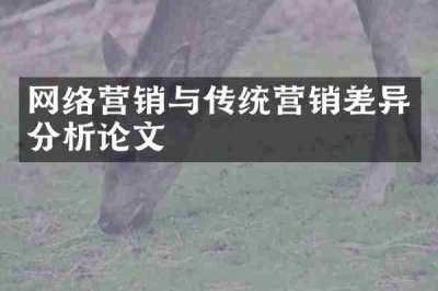 网络营销与传统营销差异分析论文