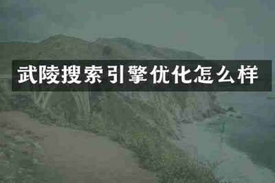 武陵搜索引擎优化怎么样