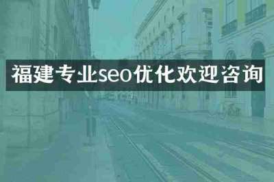 福建专业seo优化欢迎咨询