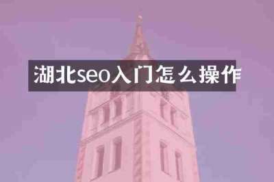 湖北seo入门怎么操作