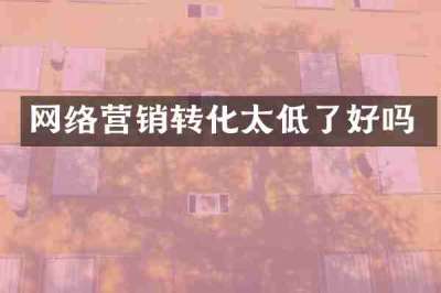 网络营销转化太低了好吗