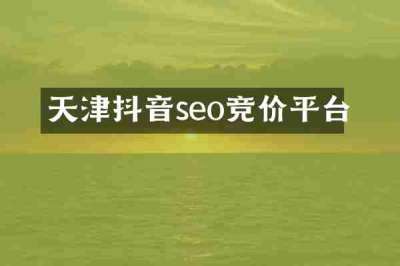 天津抖音seo竞价平台